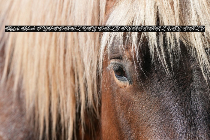 Myteri Black PERSONAL USE ONLY PERSONAL USE ONLY Example 1