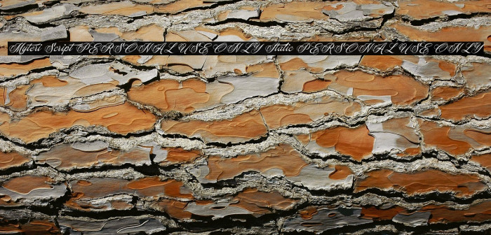 Myteri Script PERSONAL USE ONLY Italic PERSONAL USE ONLY Example 3