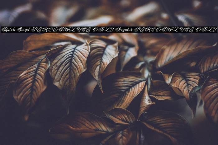 Myteri Script PERSONAL USE ONLY Regular PERSONAL USE ONLY Example 2