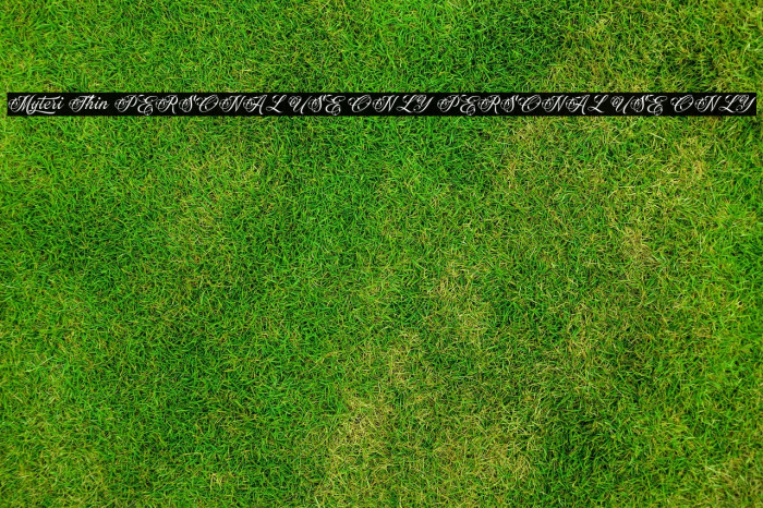 Myteri Thin PERSONAL USE ONLY PERSONAL USE ONLY Example 1