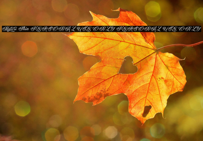 Myteri Thin PERSONAL USE ONLY PERSONAL USE ONLY Example 3