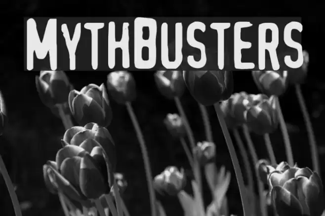 MythBusters フォント examples