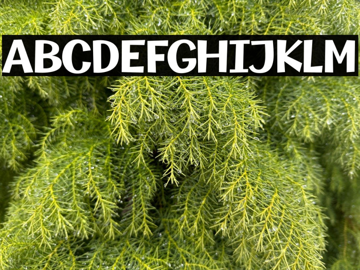 MythicalGarden-Bold Example 3