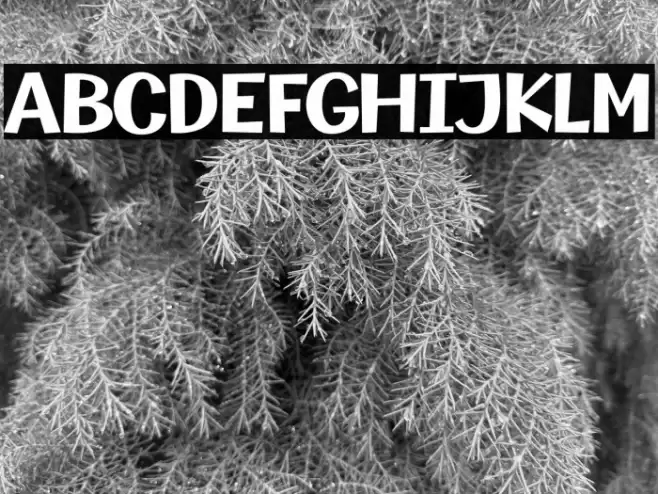 MythicalGarden-Bold Font examples