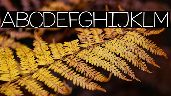 MythicalGarden-Thin Example 1