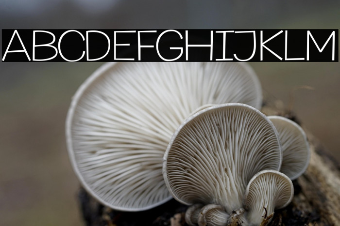 MythicalGarden-Thin Example 2