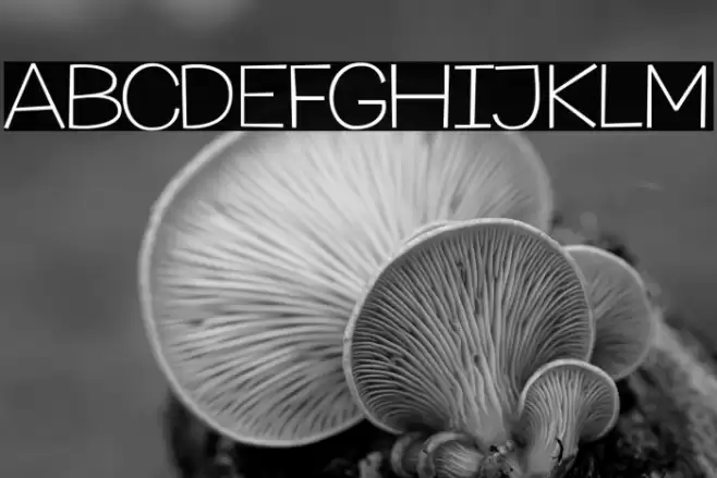 MythicalGarden-Thin Font examples