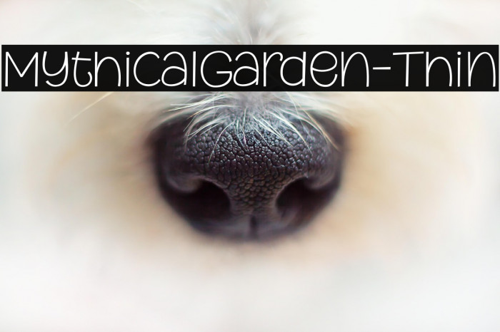 MythicalGarden-Thin Example 2