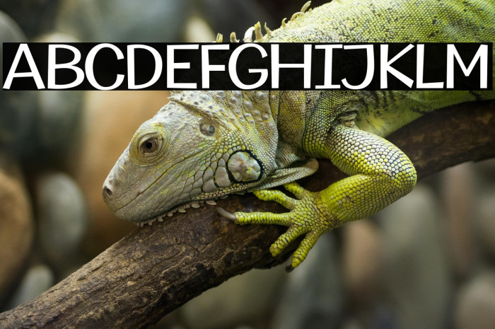 MythicalGarden Example 1