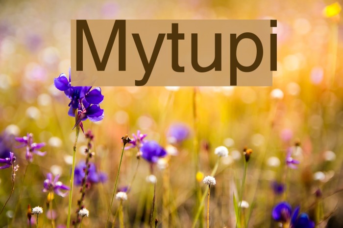 Mytupi Font examples