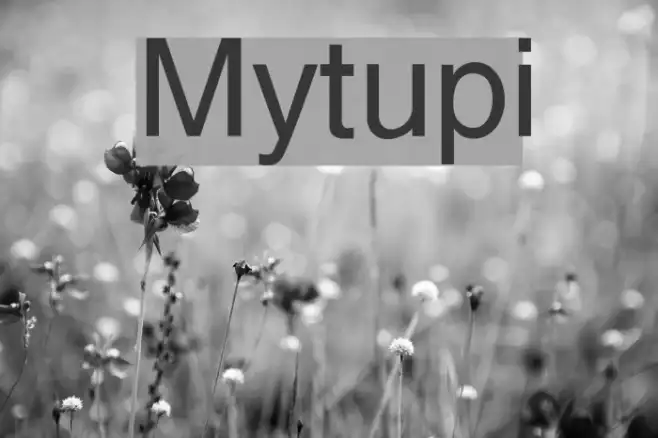 Mytupi Example 2