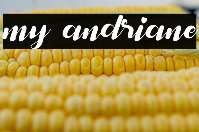 my andriane Example 2