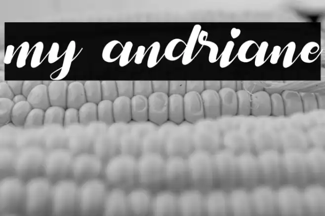 my andriane Example 2