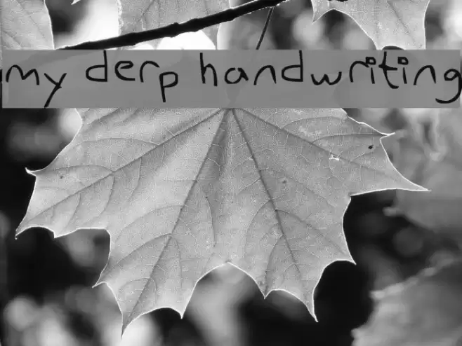 my derp handwriting Font examples