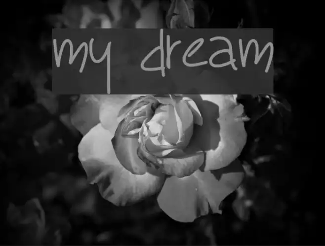my dream Example 1