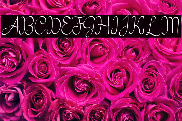 my mecca script Example 1