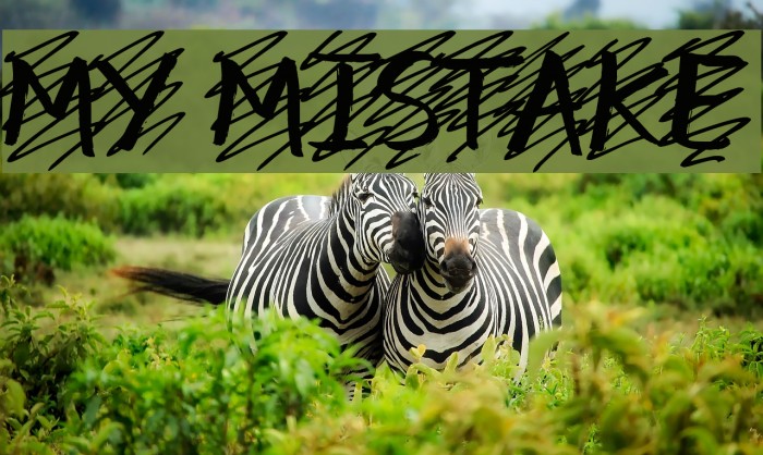 my mistake Font examples