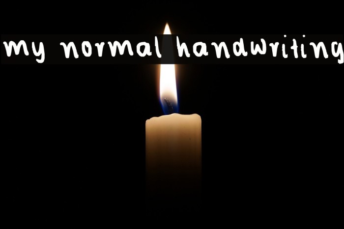 my normal handwriting Font examples