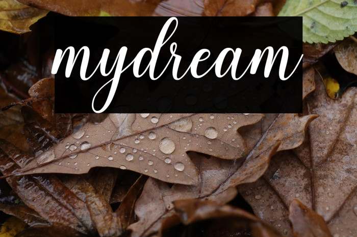 mydream Example 2