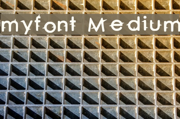 myfont Medium Font examples