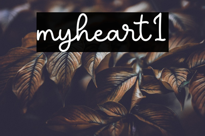 myheart1 Example 2