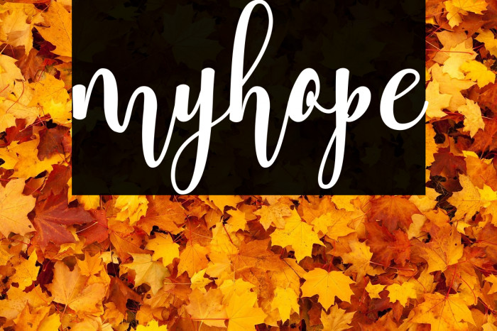 myhope Example 3