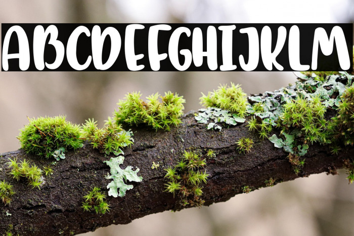 mysweetfarmhouse Example 2