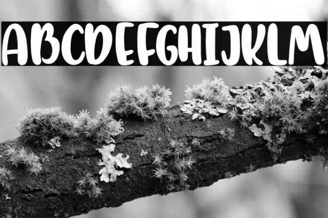 mysweetfarmhouse Font examples