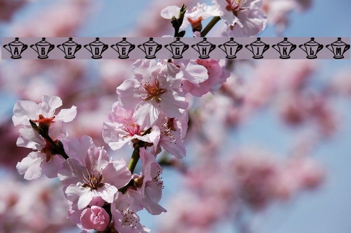 mzw teaparty Font examples