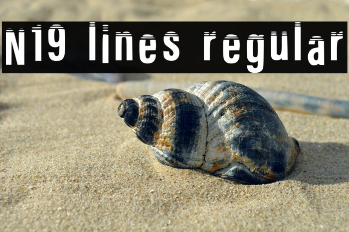 N19 Lines Regular Example 1