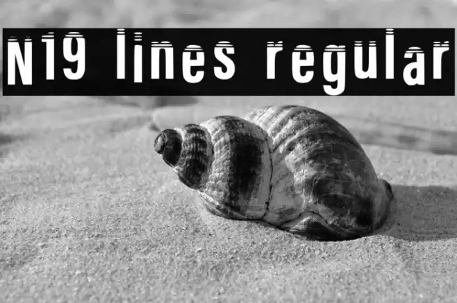 N19 Lines Regular Font examples