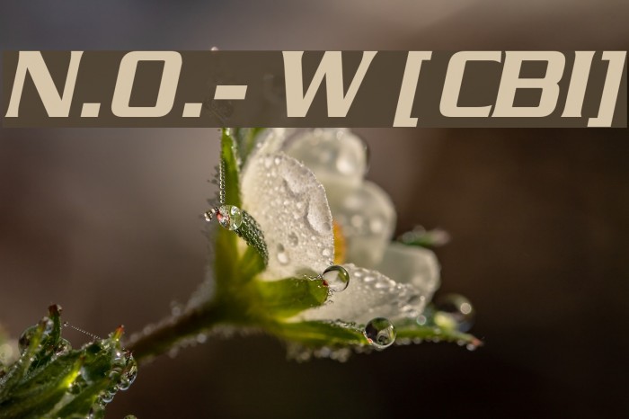 N.O.- World [ChaneyBoldItalic] Font examples