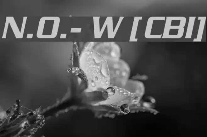 N.O.- World [ChaneyBoldItalic] Fonte examples