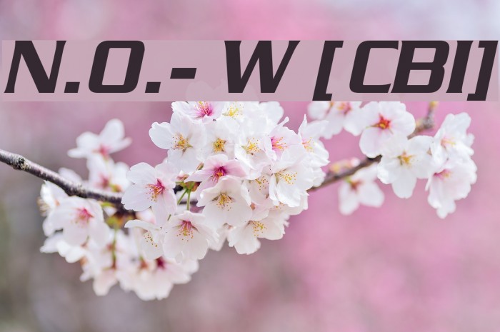 N.O.- World [ChaneyBoldItalic] Font examples