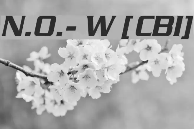 N.O.- World [ChaneyBoldItalic] Fonte examples