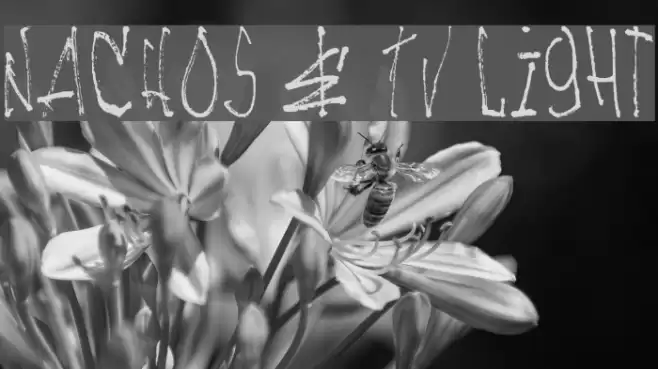 NACHOS & TV Light Font examples