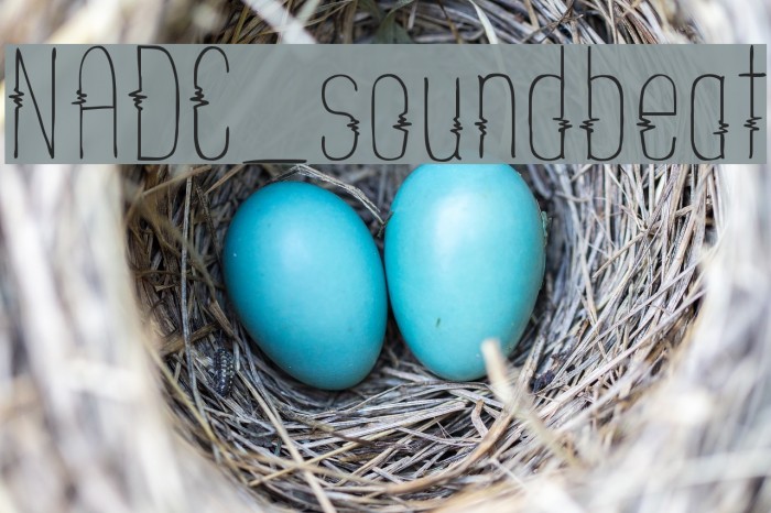 NADC_soundbeat Font examples