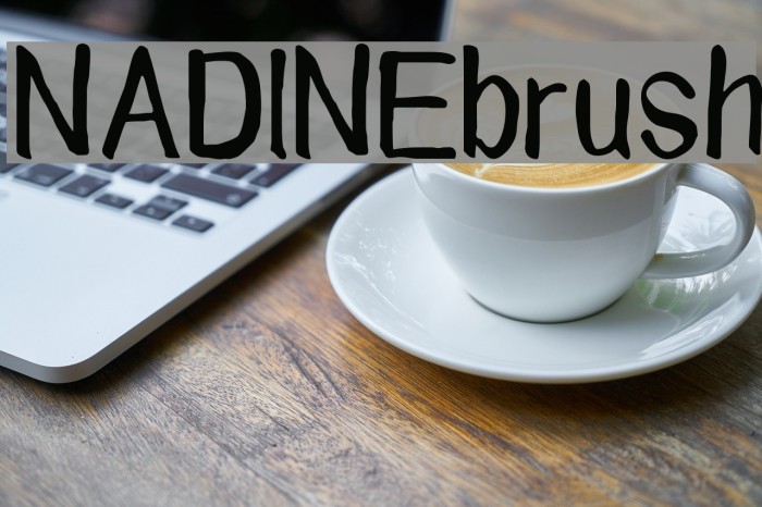 NADINE brush Font examples