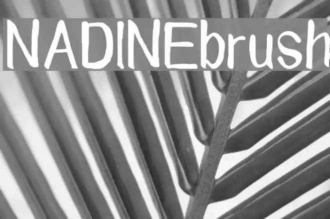 NADINE brush Schriftart examples