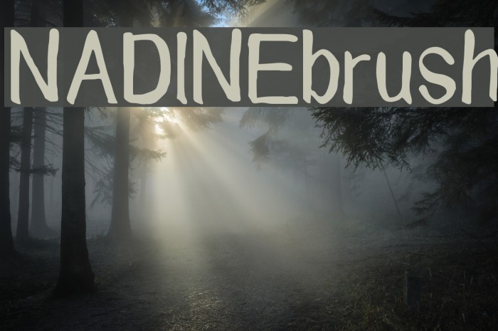 NADINE brush Font examples