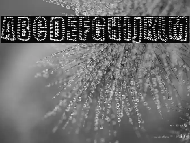 NAILED Font examples