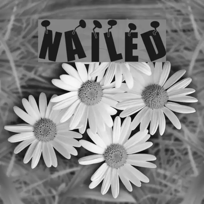 NAILED Font examples