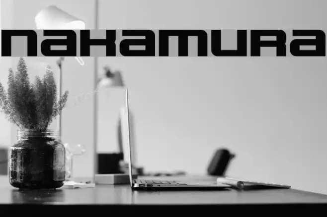 NAKAMURA Example 2