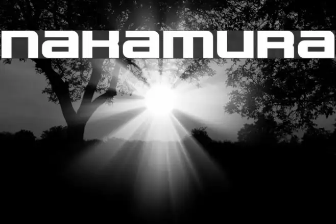 NAKAMURA Example 3