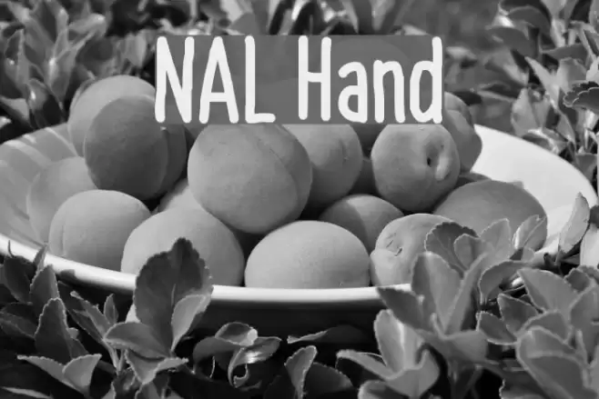 NAL Hand  examples