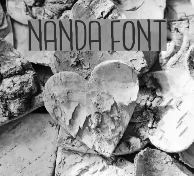 NANDA Example 2