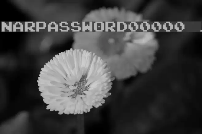 NARPASSWORD00000 fixed.width Шрифта examples