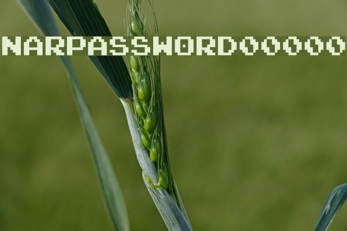 NARPASSWORD00000 Font examples