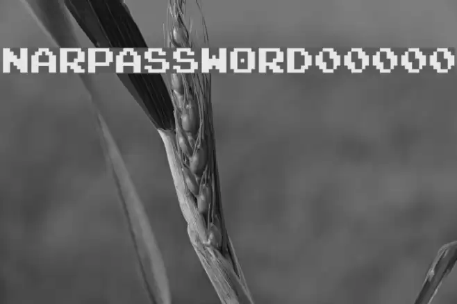 NARPASSWORD00000 Schriftart examples
