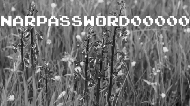 NARPASSWORD00000 Schriftart examples